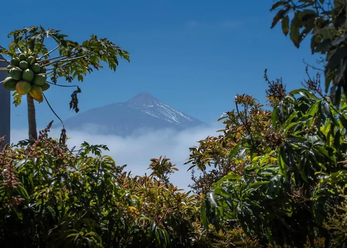 Σπίτι διακοπών Norte Piscina Privada Climatizada *